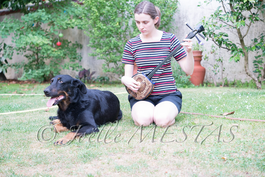 03 juillet 2015